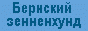 Питомник бернских зенненхундов ГОРДОСТЬ АДМИРАЛТЕЙСТВА